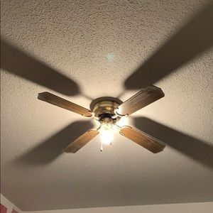 Meet your Posher, Jayden